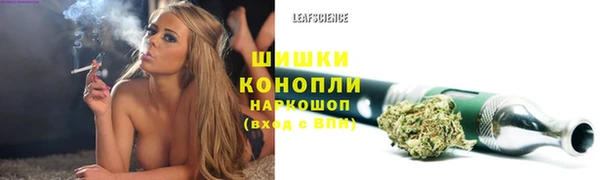 бошки Кулебаки